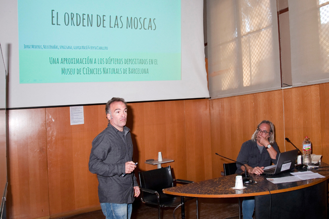 Imatge de Jordi Vidal