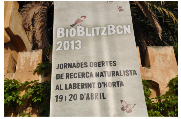 BioBlitzBcn 2013