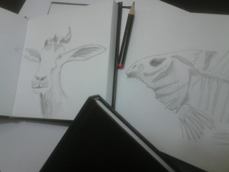 Visual journaling