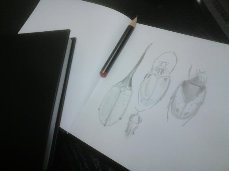 Visual journaling