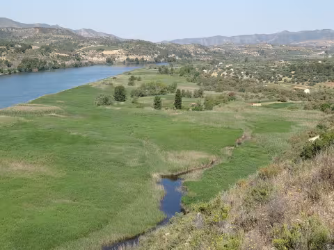 Imatge cedida per el Grup de Natura Freixe 