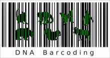 DNA barcoding. Imatge de Jagoba Malumbres